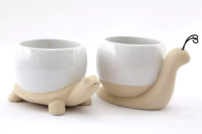 2 Pack Ornament Pots Tortoise/Snail 17cm 🇬🇧