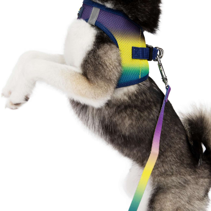 CHOKE-FREE-MESH-DOG-HARNESS-OMBRE-COSMIC-SPLASH