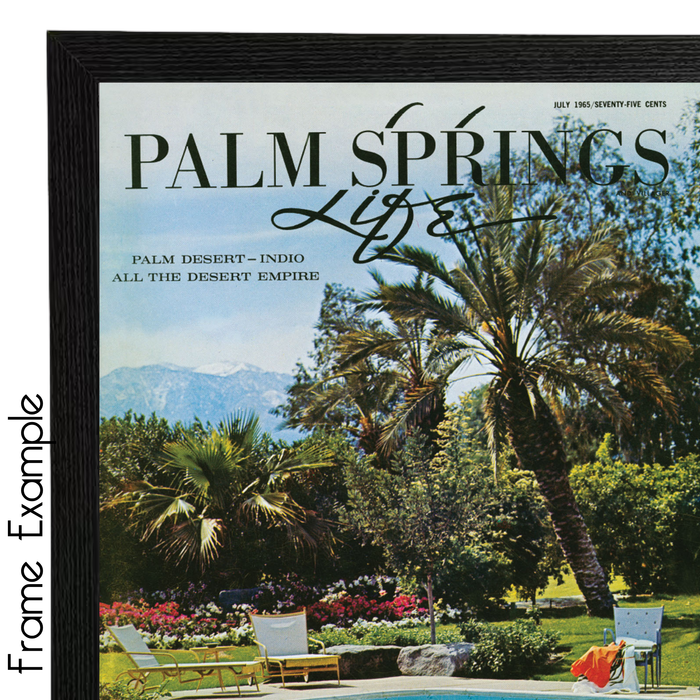 Palm Springs Life May 1960 Poster