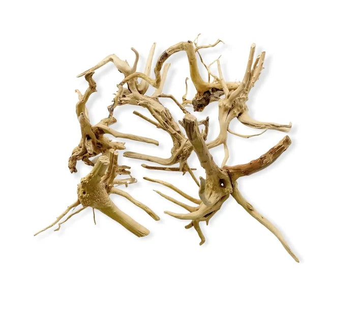 Spider Wood aquarium driftwood with fine branching roots — natural hardscape