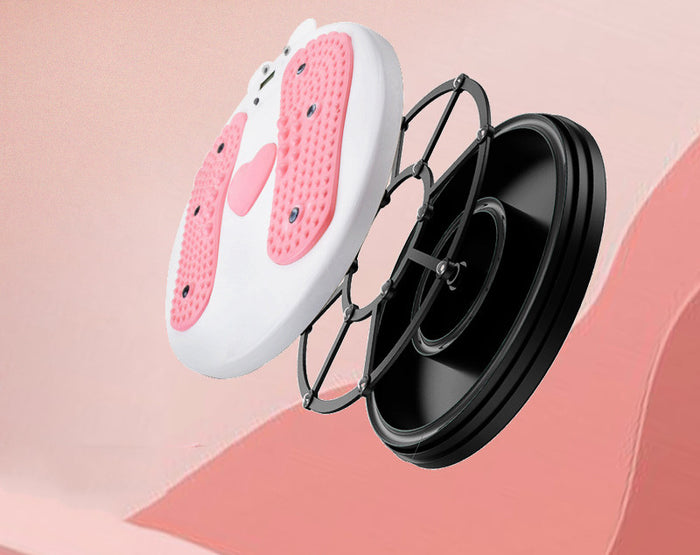 Abdominal Wheel Sports Magnet Fitness Equipment Home 🇨🇳