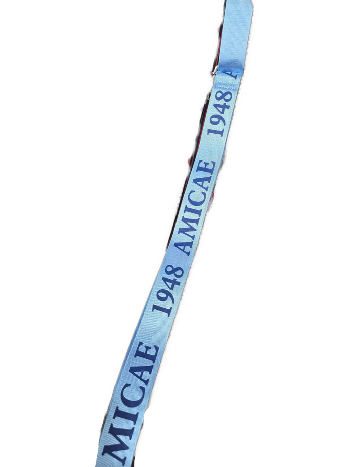 Amicae Purse Strap