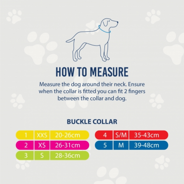 White background with a size guide for an Ancol buckle collar with an illustrated dog, showing how to measure your dog.