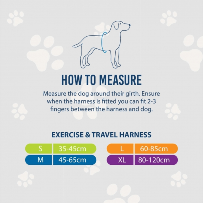 A size guide graphic for Ancol Viva exercise and travel harness, showing a simple line drawing of a dog and text instructions on how to measure the dog's girth. Below the instructions is a size chart with color-coded boxes for Small, Medium, Large, and XL sizes and their corresponding measurements in centimetres, all on a light grey background with faint paw prints.