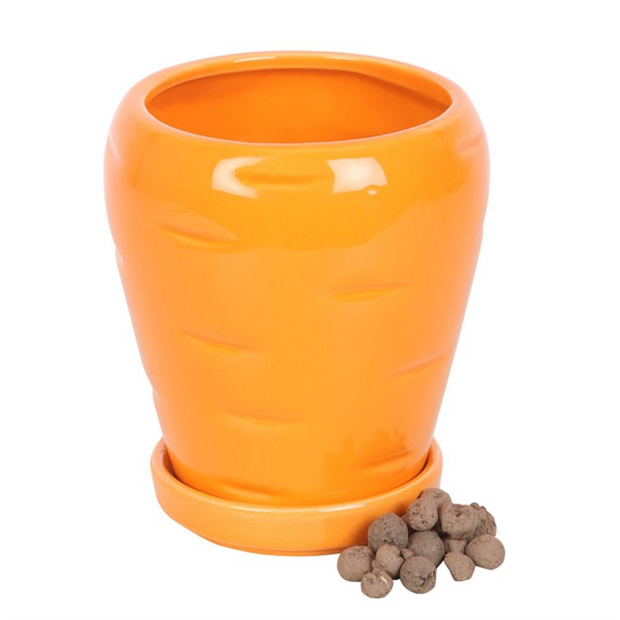 Carrot Shaped Plant Pot with Parsley Seed Balls 🇬🇧