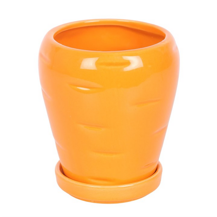 Carrot Shaped Plant Pot with Parsley Seed Balls 🇬🇧