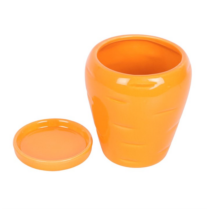 Carrot Shaped Plant Pot with Parsley Seed Balls 🇬🇧