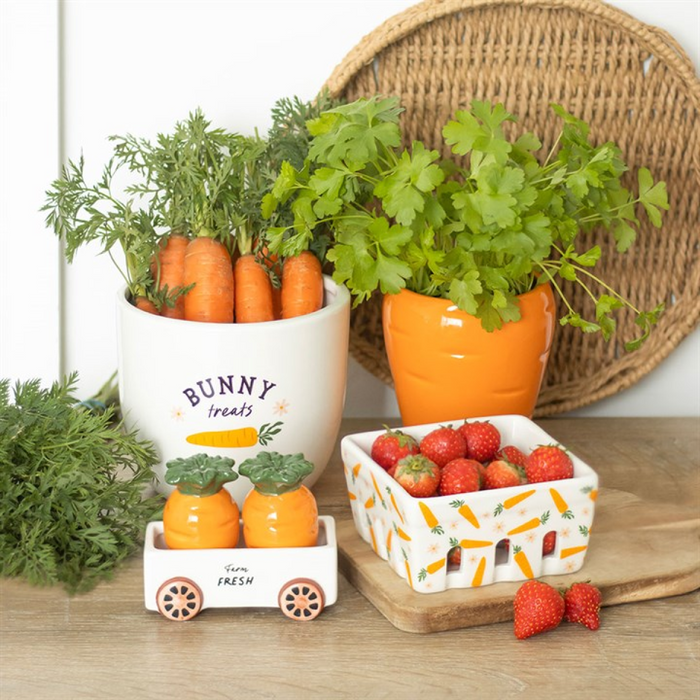 Carrot Shaped Plant Pot with Parsley Seed Balls 🇬🇧