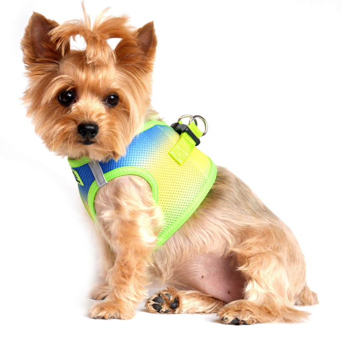 CHOKE-FREE-MESH-DOG-HARNESS-OMBRE-COBALT-SPORT