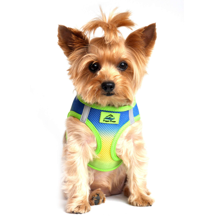 CHOKE-FREE-MESH-DOG-HARNESS-OMBRE-COBALT-SPORT