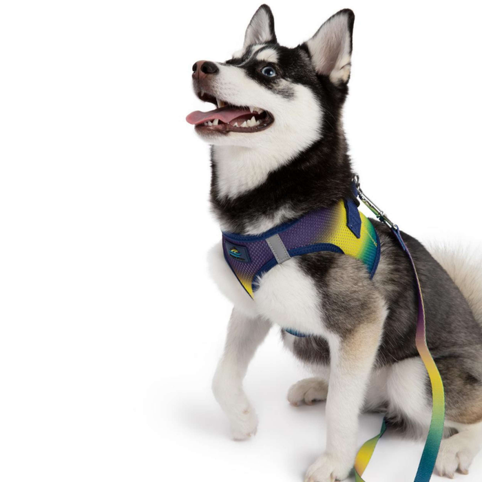 CHOKE-FREE-MESH-DOG-HARNESS-OMBRE-COSMIC-SPLASH