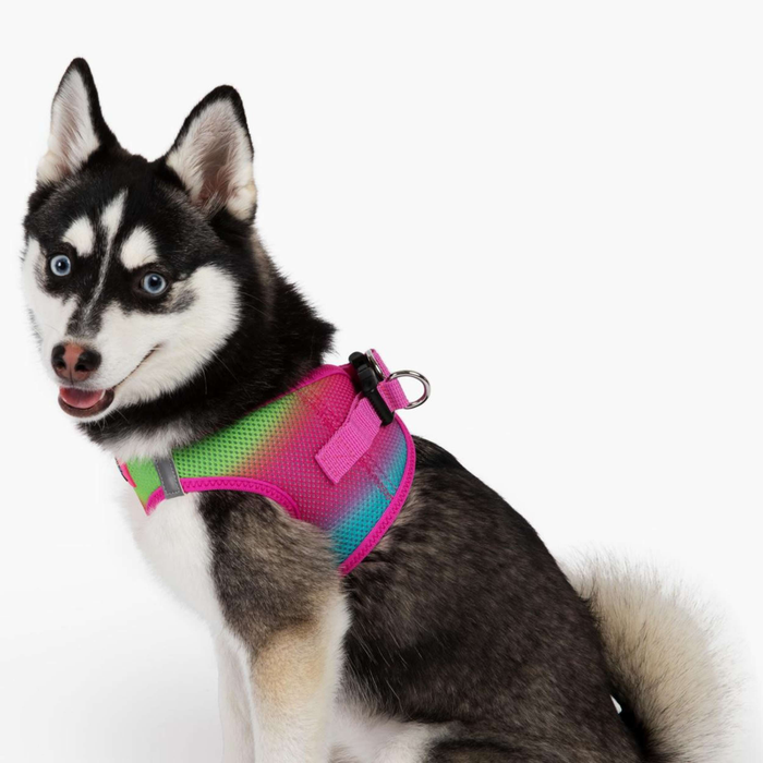 CHOKE-FREE-MESH-DOG-HARNESS-OMBRE-COTTON-CANDY