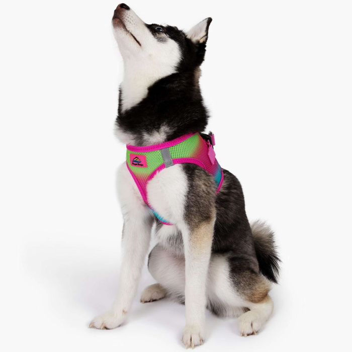 CHOKE-FREE-MESH-DOG-HARNESS-OMBRE-COTTON-CANDY
