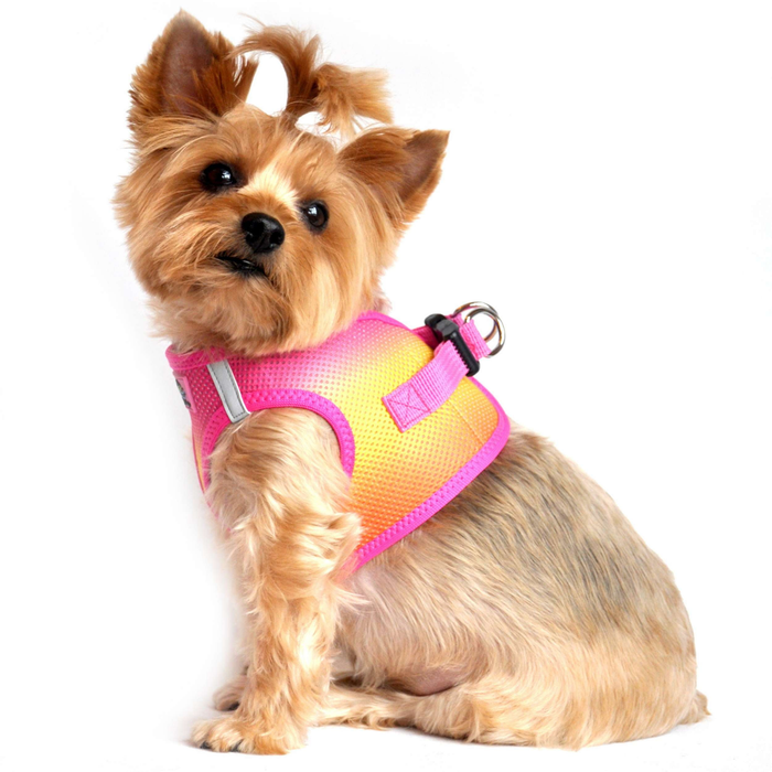 CHOKE-FREE-MESH-DOG-HARNESS-OMBRE-RASPBERRY-PINK-AND-ORANGE