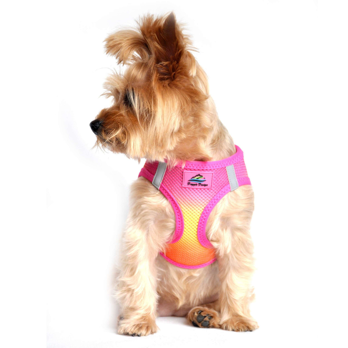 CHOKE-FREE-MESH-DOG-HARNESS-OMBRE-RASPBERRY-PINK-AND-ORANGE