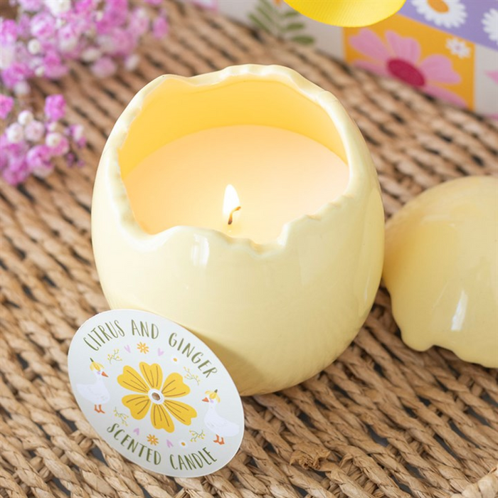 Citrus & Ginger Egg Shaped Candle 🇬🇧