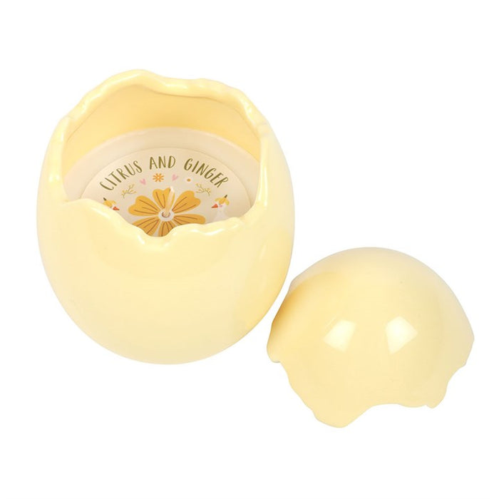 Citrus & Ginger Egg Shaped Candle 🇬🇧