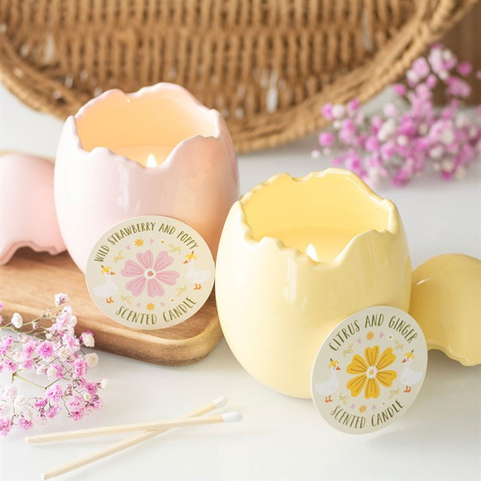 Citrus & Ginger Egg Shaped Candle 🇬🇧