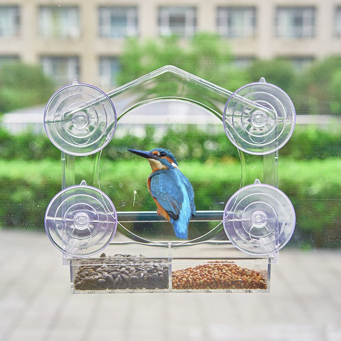 Creative Simple Transparent House Acrylic Bird Feeder 🇨🇳