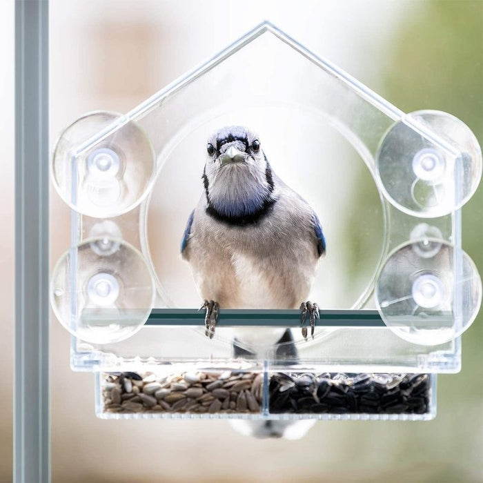 Creative Simple Transparent House Acrylic Bird Feeder 🇨🇳