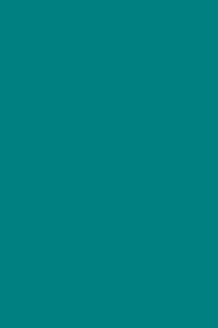 Teal / One Size (8-20)