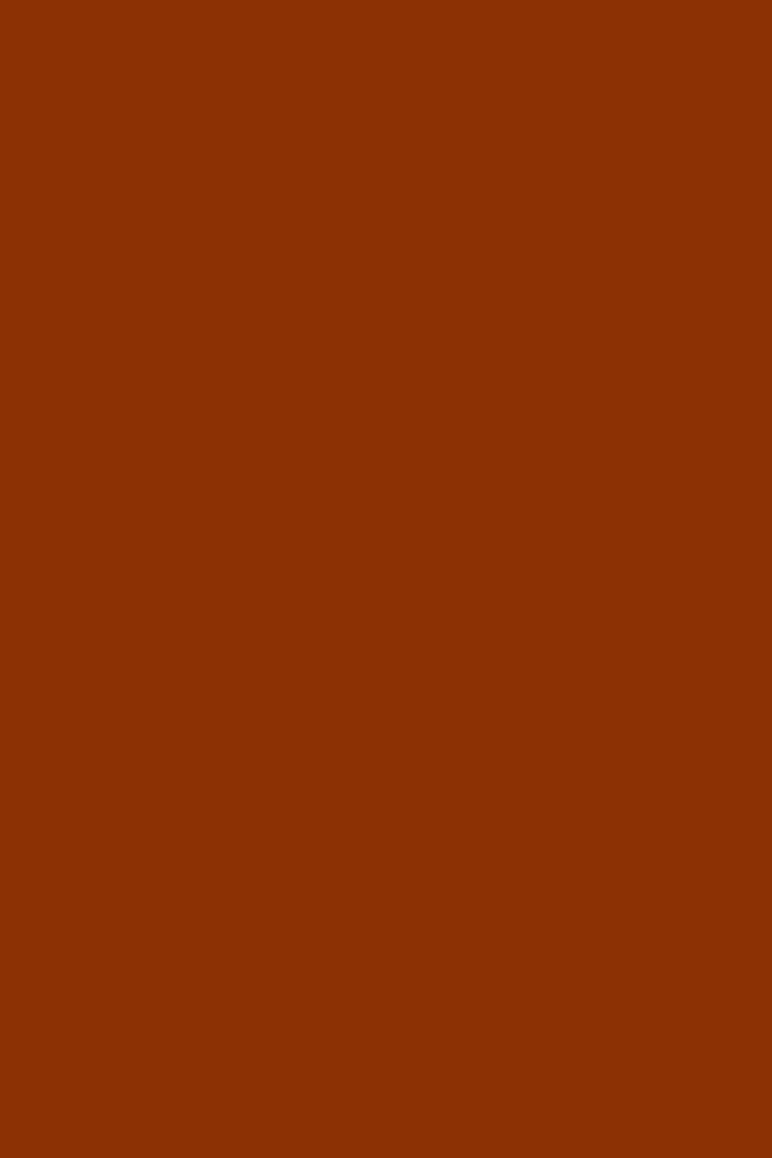 Rust / One Size (8-20)