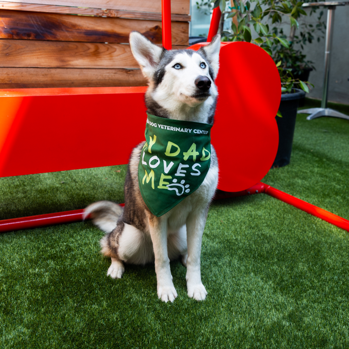 DOG BANDANA: My Dad Loves Me