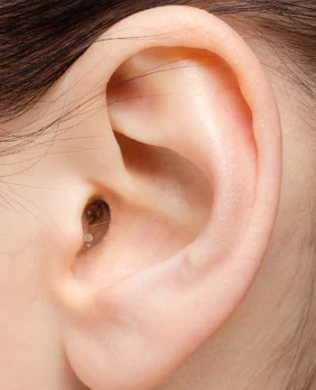 Hi Fidelity EARasers Dentists & Hygienists Earplugs