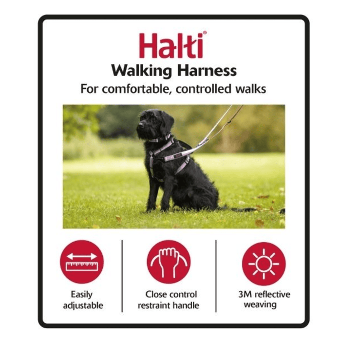 White background with a Patterdale terrier wearing Halti Walking Harness in the centre, with features listed beneath it.