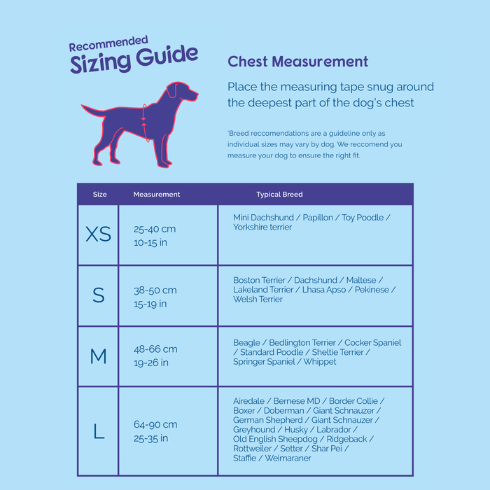 Light blue background with a breed and measurement size guide for a Halti Walking Harness.