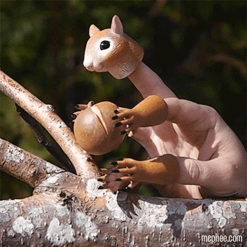 The Handisquirrel vinyl finger puppet holds onto a nut on a tree branch with a blurred forest backdrop.
