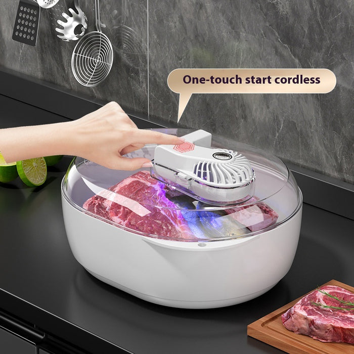 Household Quick Defrosting Plate Food Defrosting Device 🇨🇳