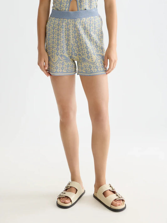 Jacquard Knitted Shorts Cactus Stripe Placed Raffia USJ01363N