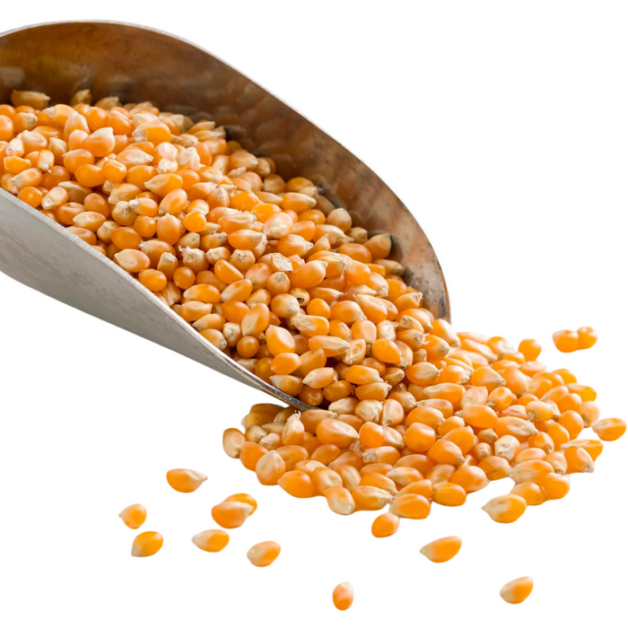Just Natural Organic Popping Corn 500g