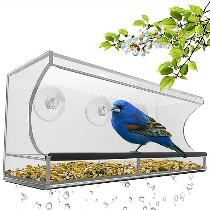 New bird pet feeder 🇨🇳