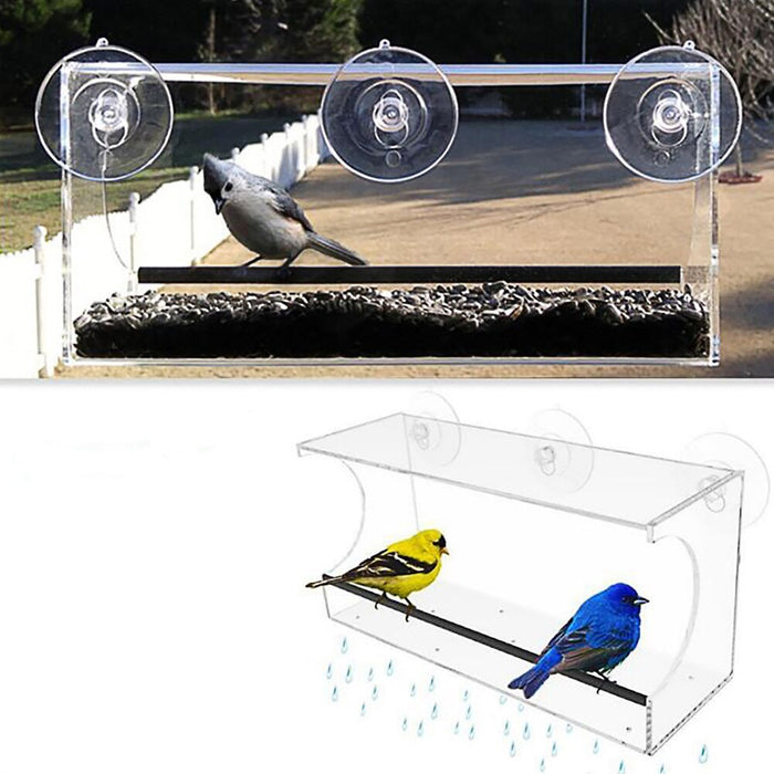 New bird pet feeder 🇨🇳