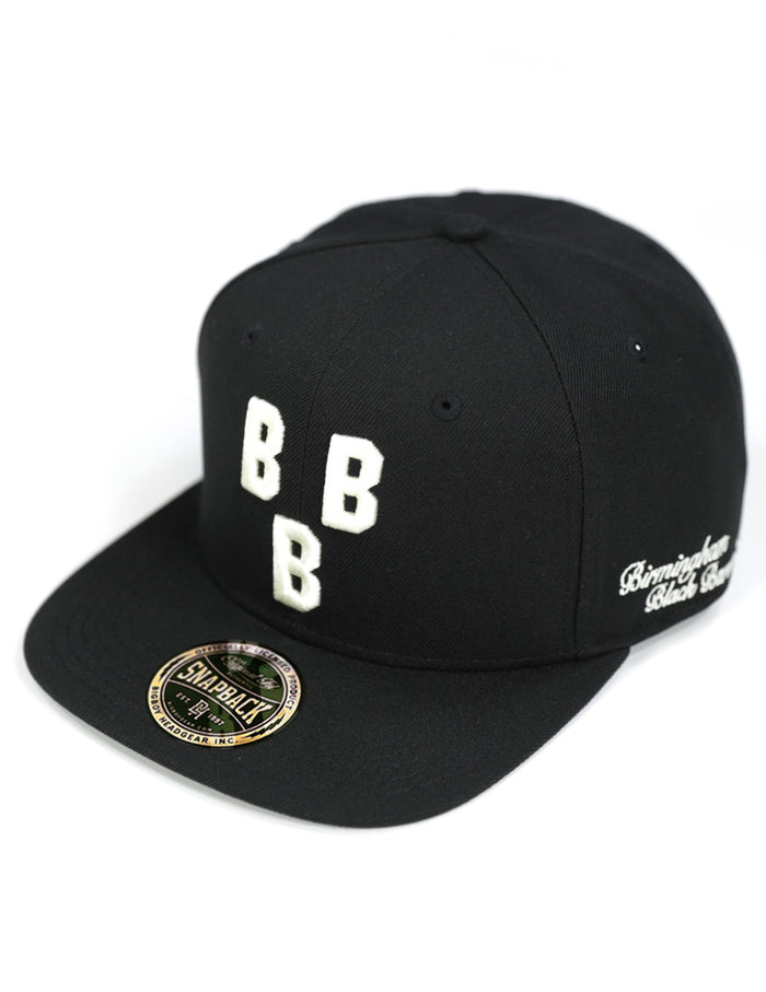 NLBM Team Snapback