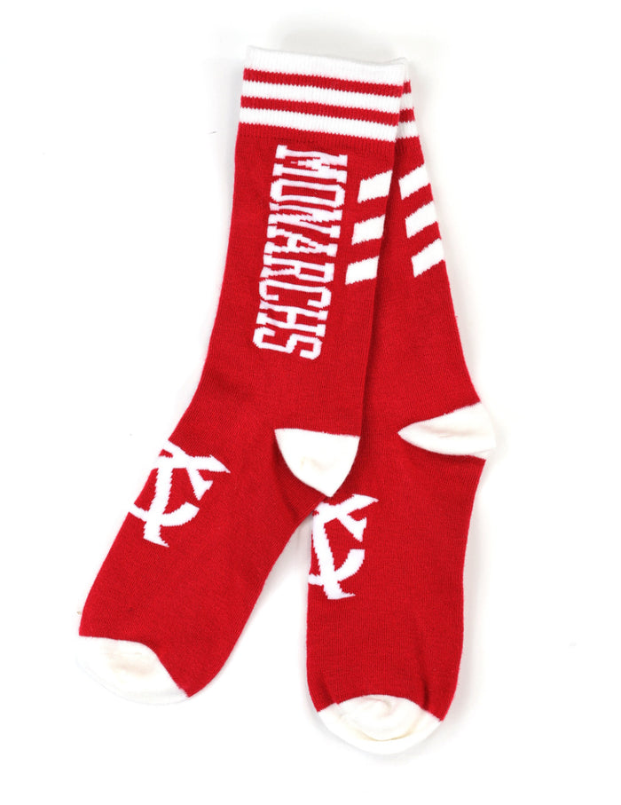 NLBM Team Socks