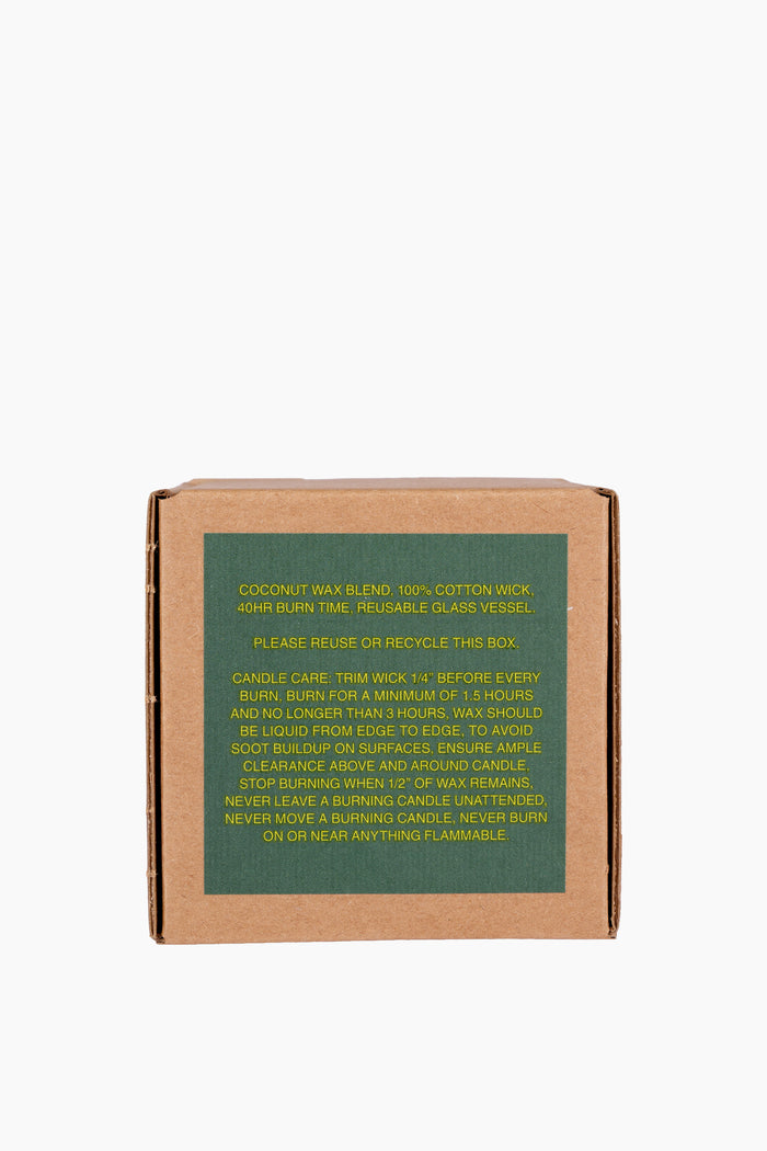 North Candle | Eucalyptus Pinon Jasmine Cypress
