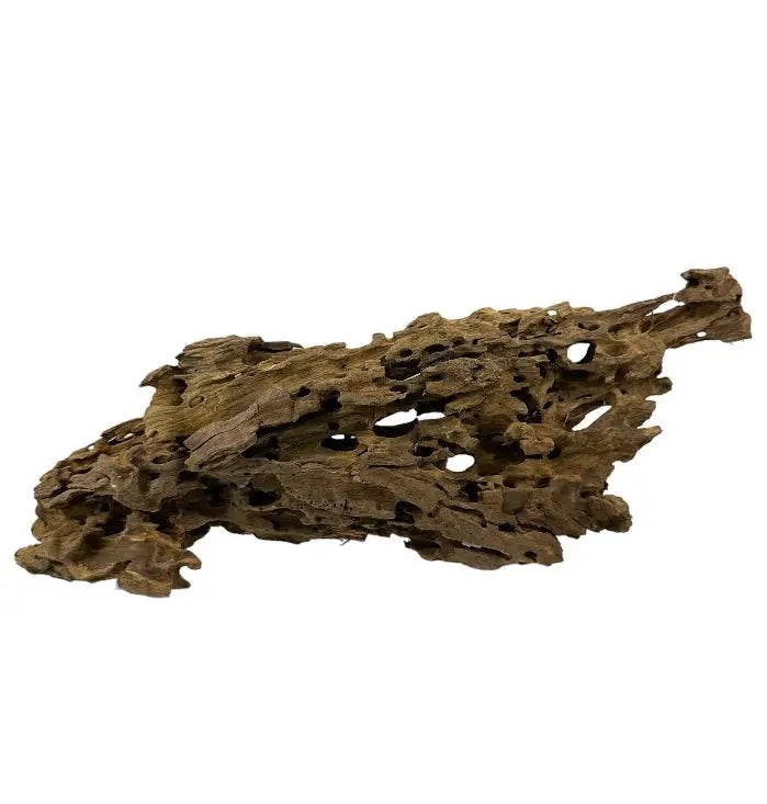 Okho Wood — natural aquarium driftwood with weathered holes and brown texture
