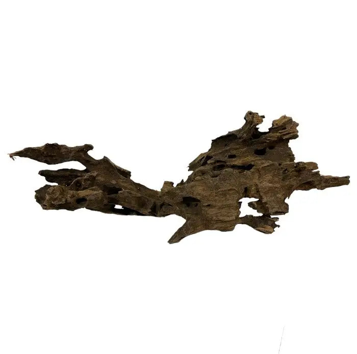 Okho Wood — natural aquarium driftwood piece with organic holes