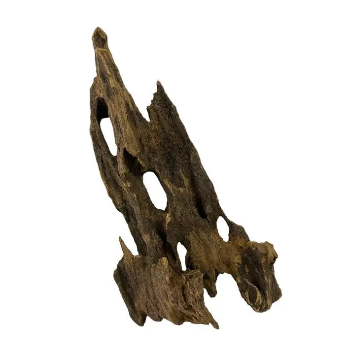 Okho Wood — porous natural driftwood for aquarium hardscape