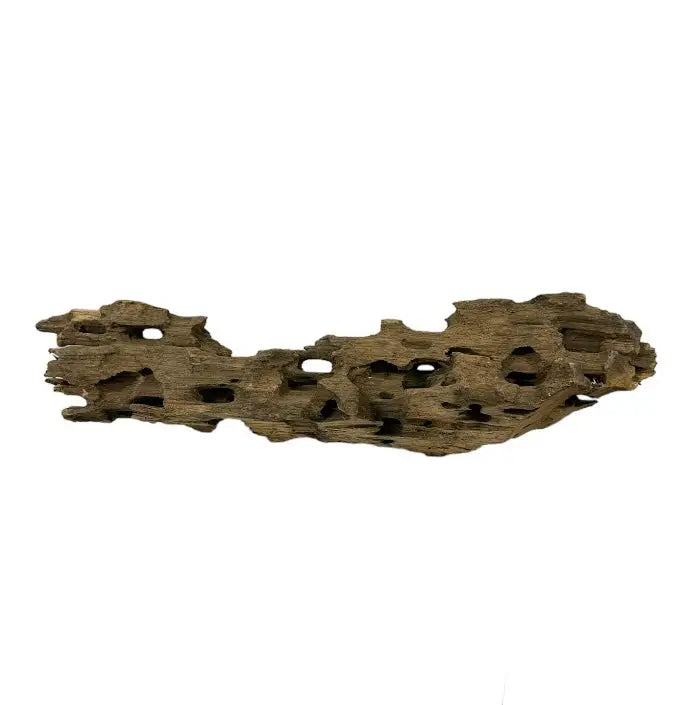 Okho Wood — weathered natural aquarium driftwood with holes