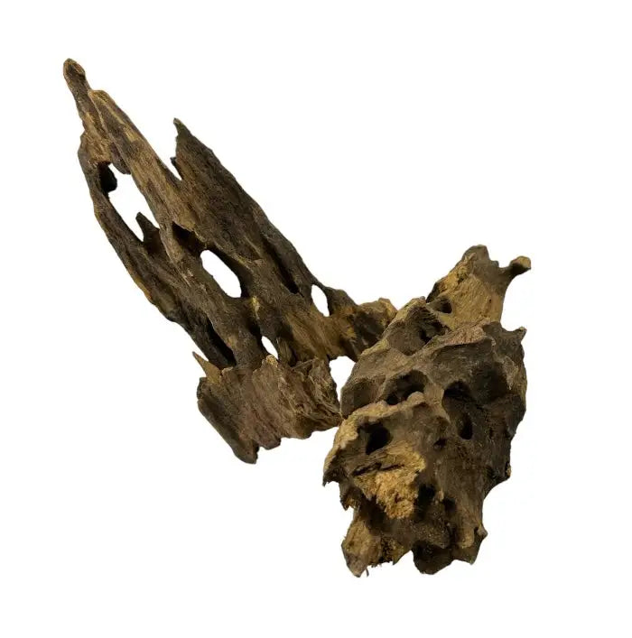 Okho Wood — natural driftwood with hollowed brown textures