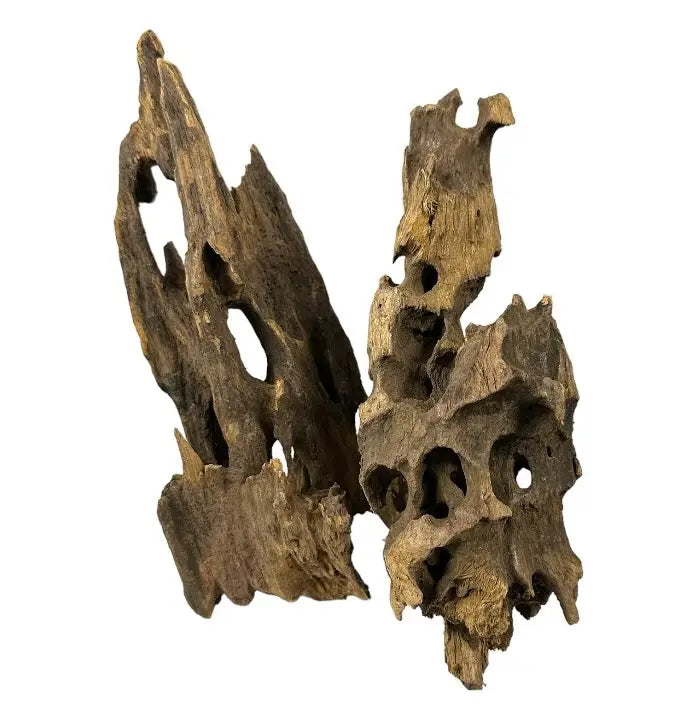 Okho Wood — gnarled natural aquarium driftwood, brown tones