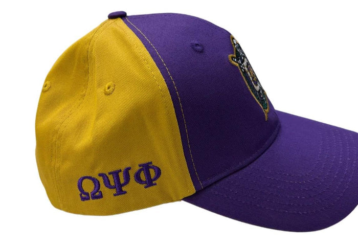 Omega Color Block Hat