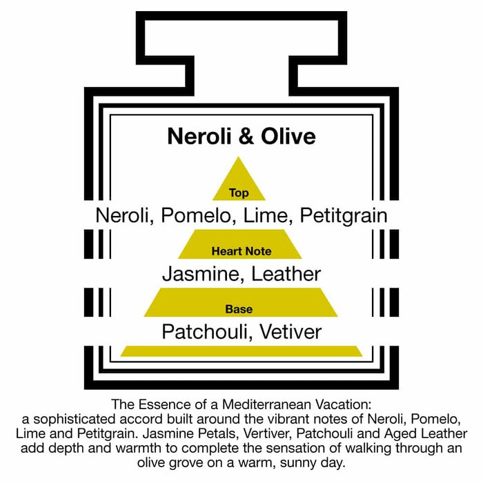 Pairfum London luxury reed diffuser with Classic Neroli & Olive scent, 100ml bottle with 10 reeds for home fragrance.