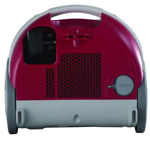 Panasonic Bag "Suction" Canister Vacuum Cleaner SKU MC-CG301