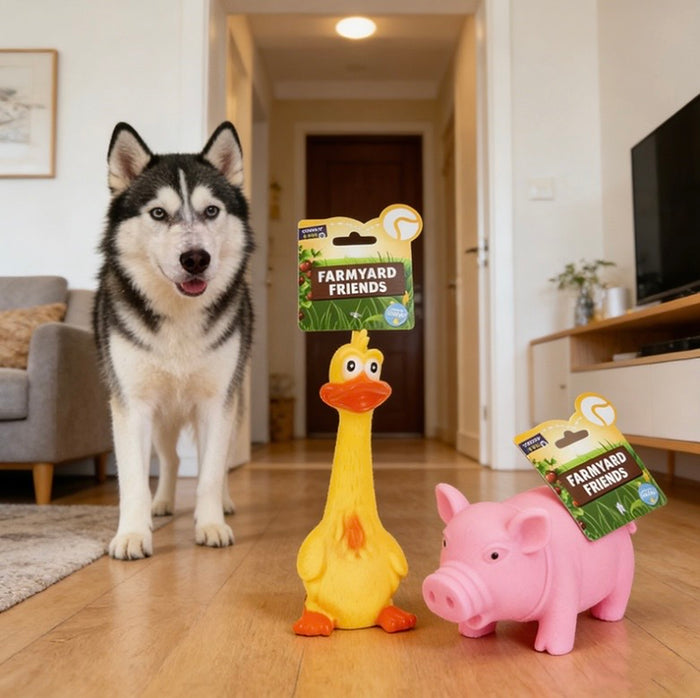 Pet Dog Toy Squeaky Farmyard Animal Duck Pig Assorted Designs 🇬🇧
