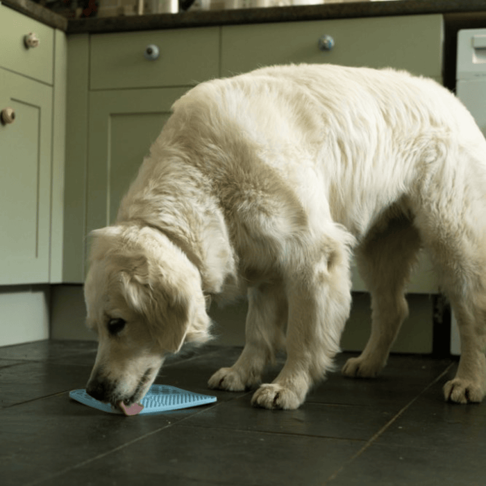 Golden retriever licking blue silicone lick mat with two different textures, one with hexagon shapes, the other with small close together ridges pictured on a tiled kitchen floor with green cabinets in the background.